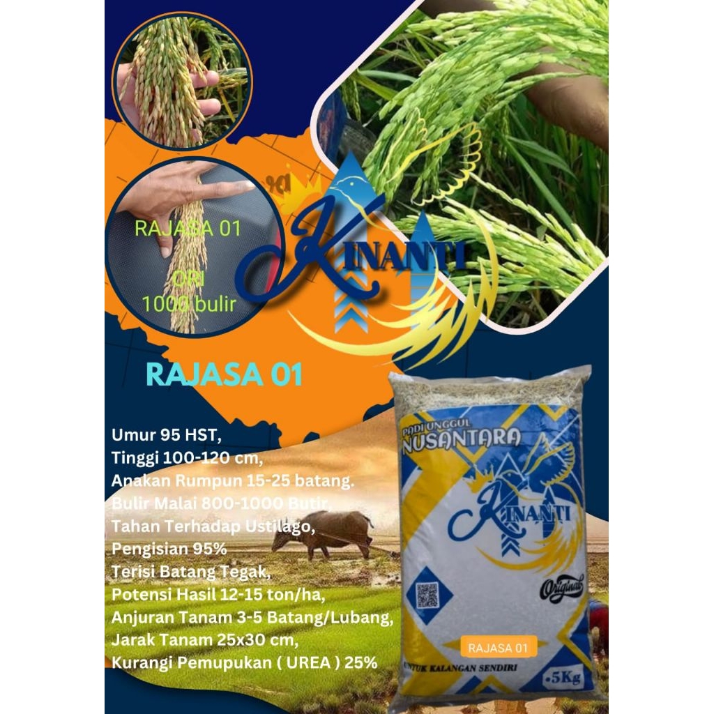 Jual BENIH PADI RAJASA 01 Kemasan 5 KG | Shopee Indonesia