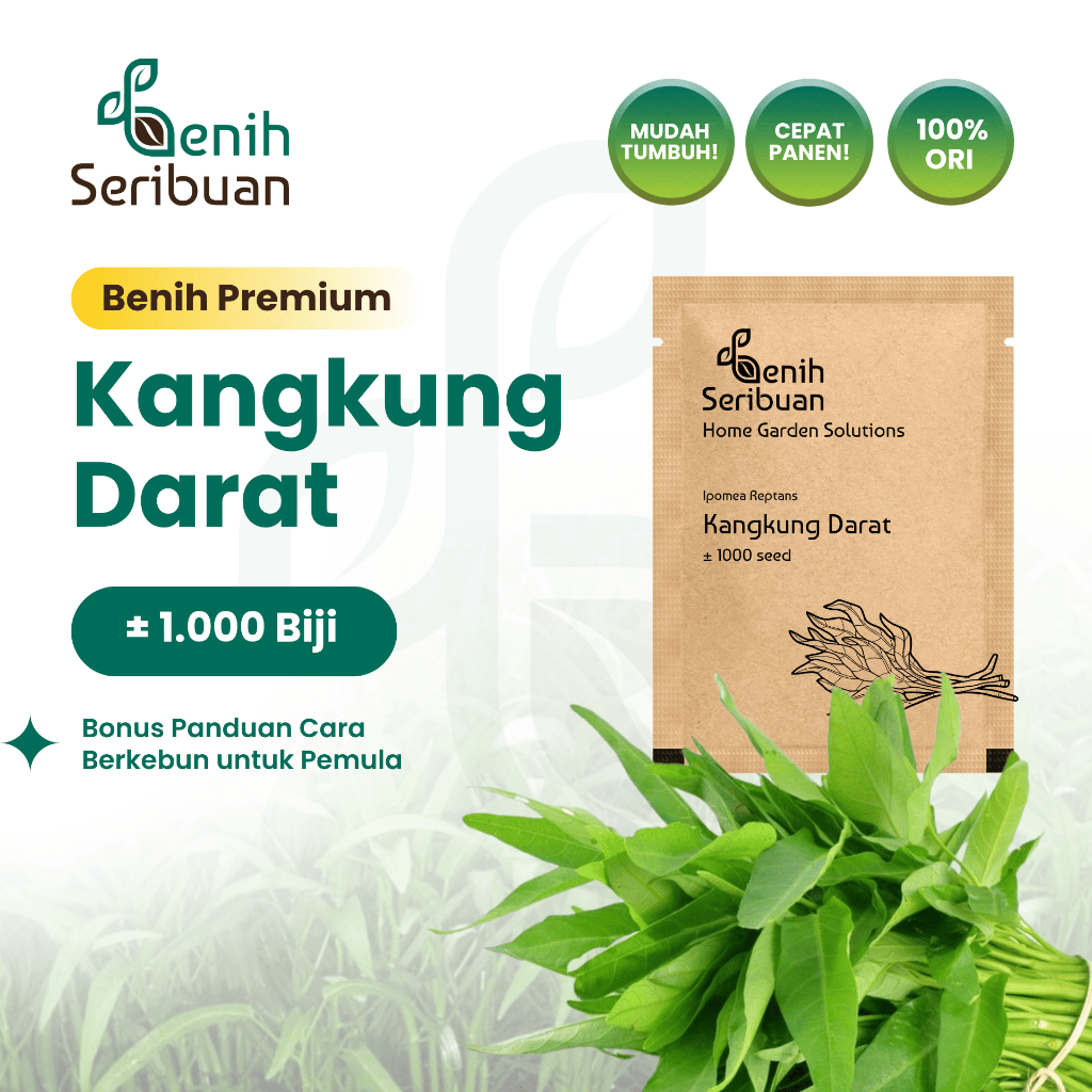 Benih Seribuan - Benih Sayuran Kangkung Darat Unggul