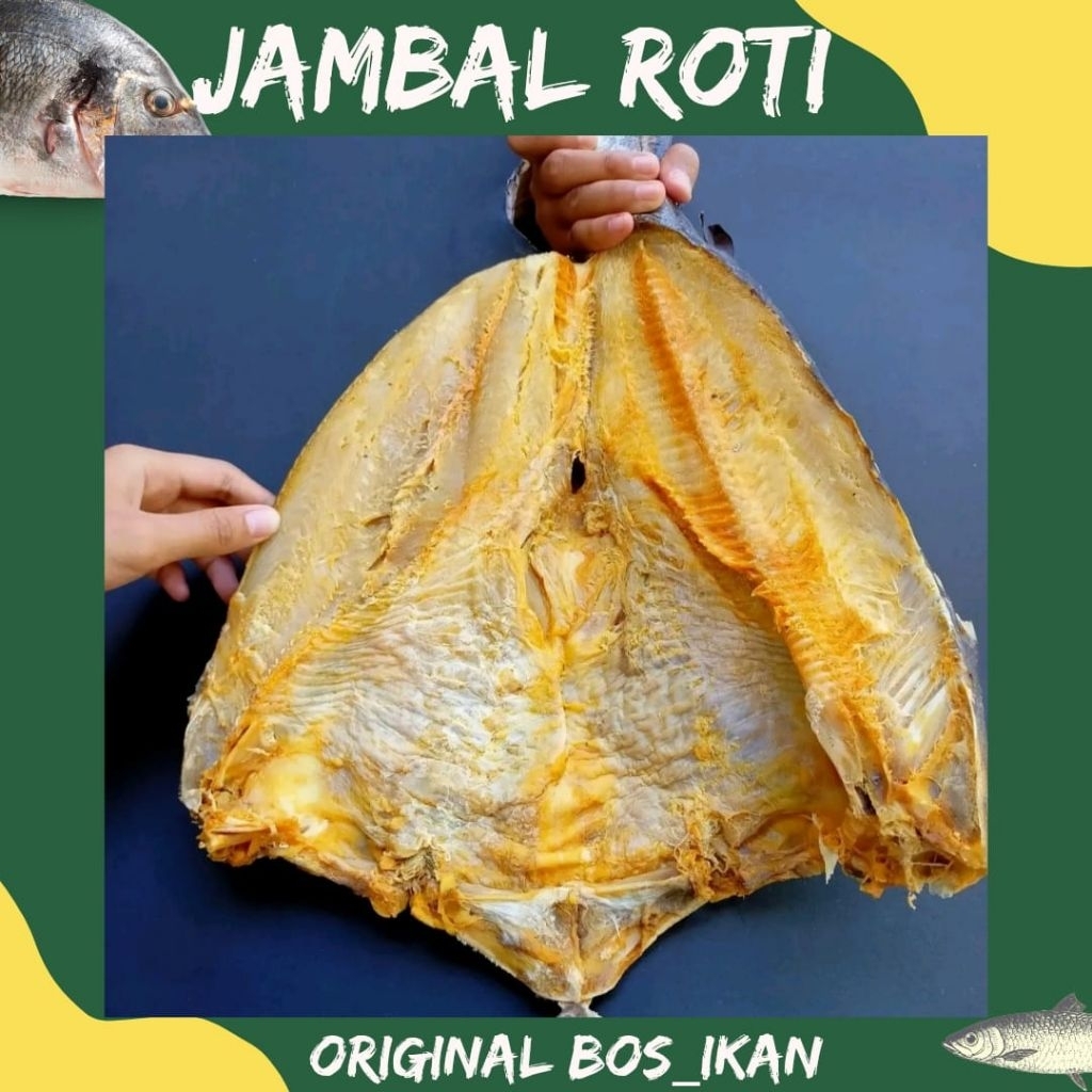 Jual IKAN JAMBAL ROTI ORIGINAL KWALITAS PREMIUM VIP | Shopee Indonesia