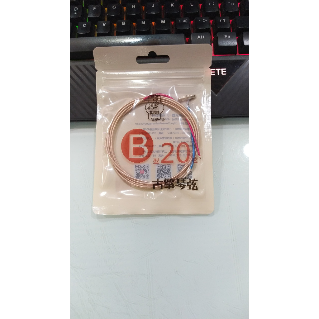 Jual Senar Kecapi Guzheng Dunhuang Tipe B | Shopee Indonesia