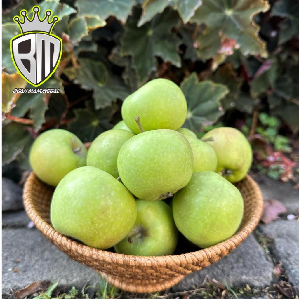 Jual Apel Manalagi Ukuran 18-22 1kg /Apel Malang/Apel Batu/ Apel fresh ...