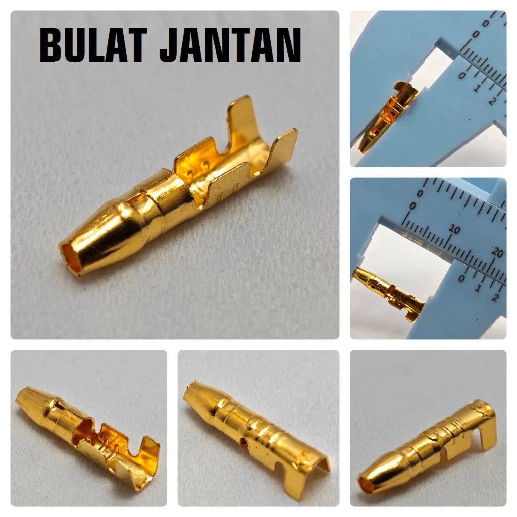 Jual SKUN TERMINAL bulat gepeng jantan betina male female cowok cewek ...