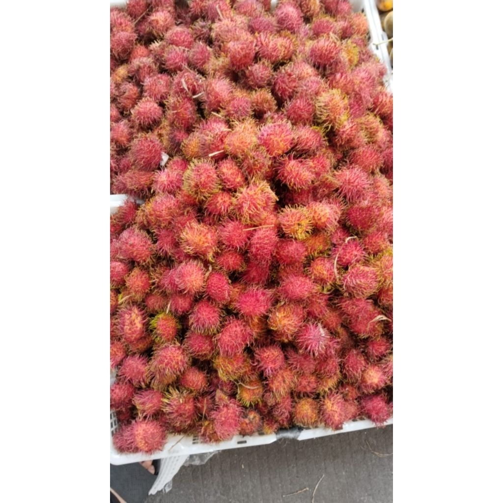 Jual Rambutan /ikat | Shopee Indonesia