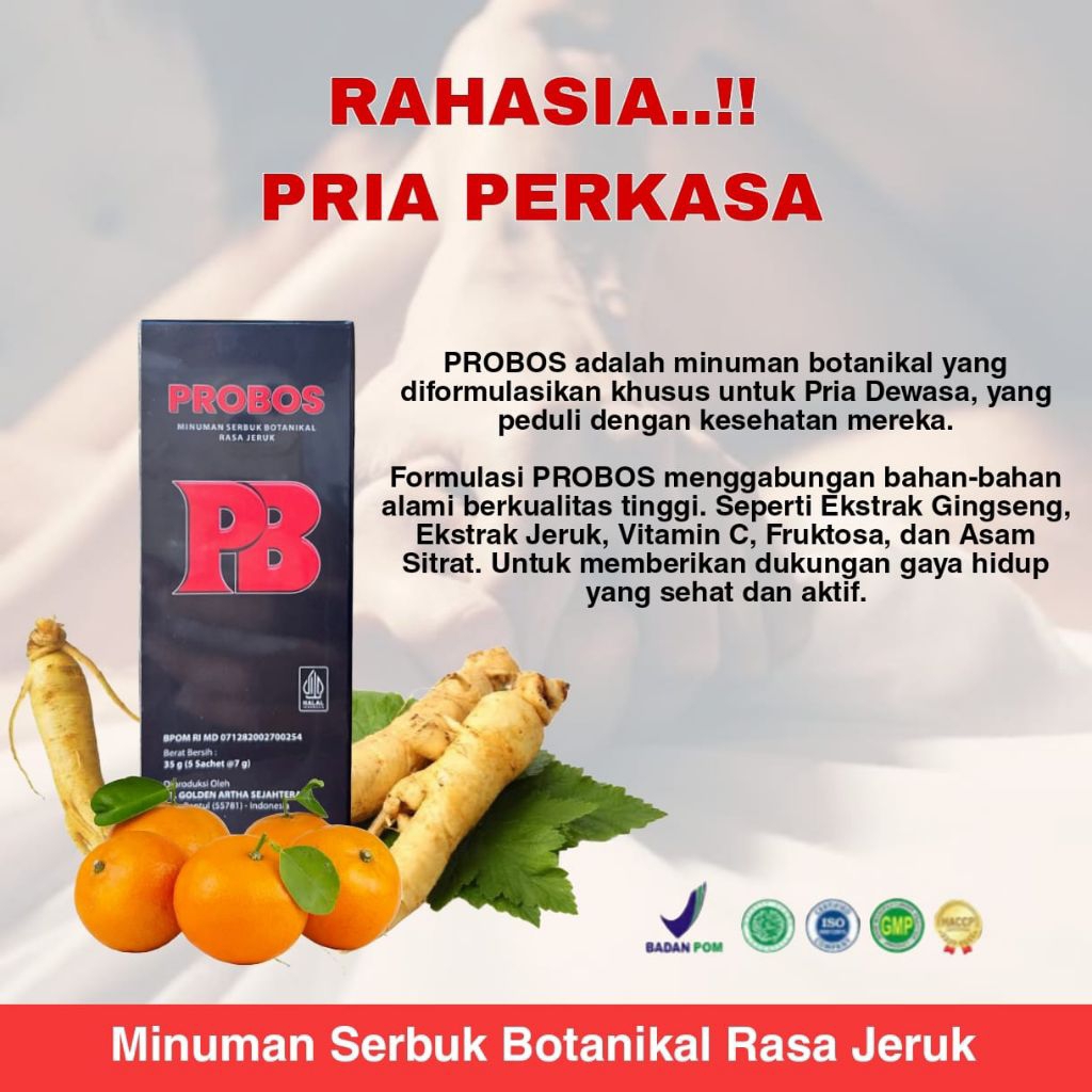 Jual PROBOS 1 Box - Minuman Serbuk Rasa Jeruk Terbuat Extrak Gingseng ...