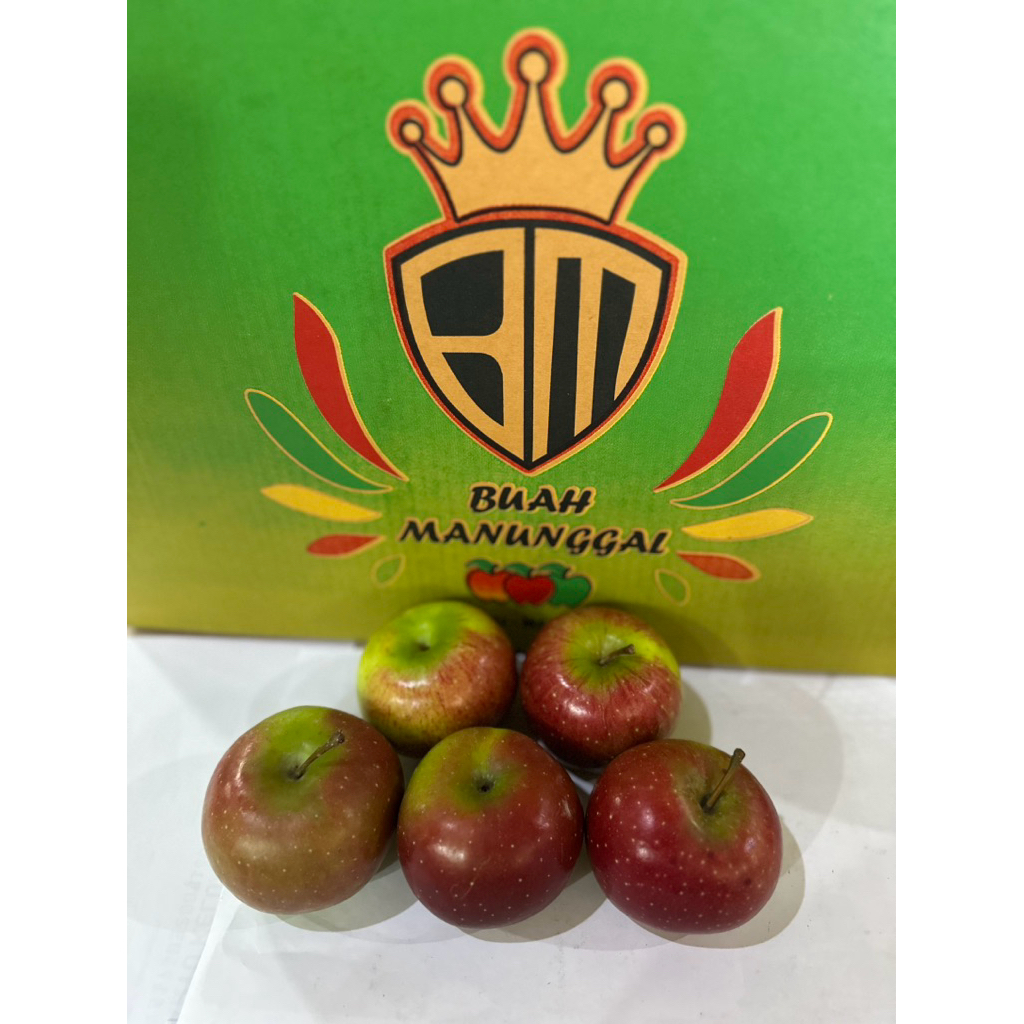Jual Apel Malang Rome Beauty Super ukuran 5-7 buah/Apel Malang /Apel ...