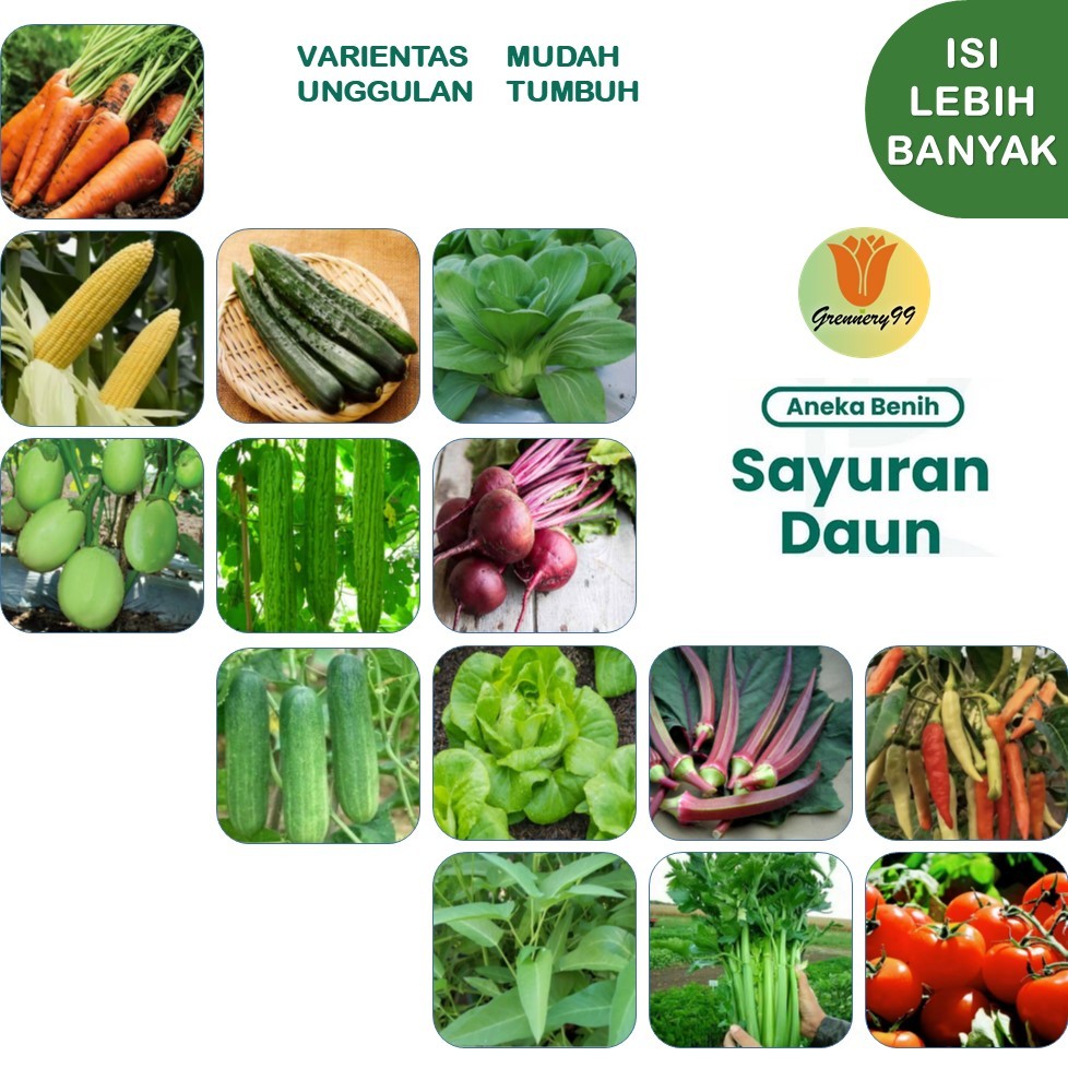 Benih Sayuran Daun Sayur Hidroponik Varian Unggulan