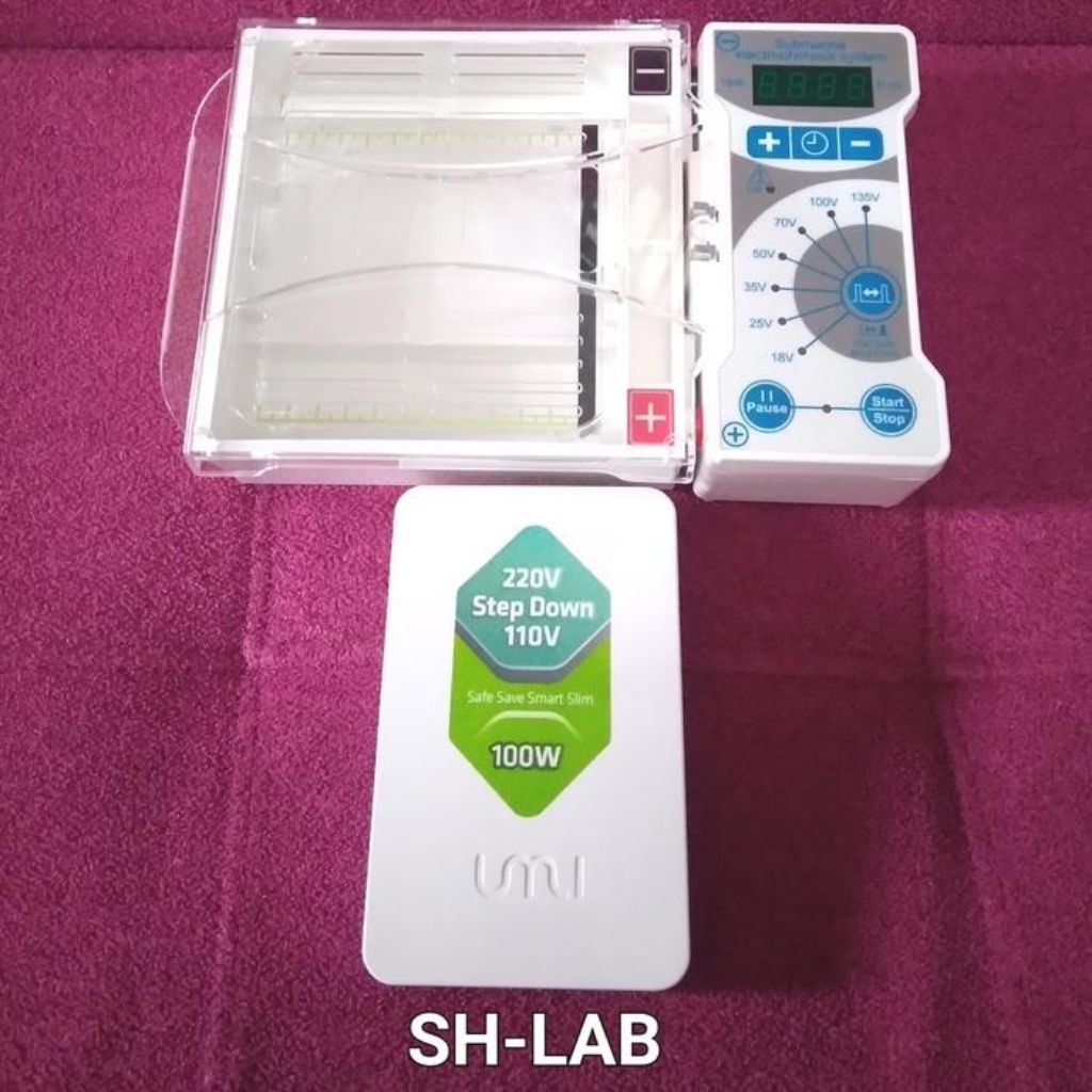 Jual Horizontal Gel Electrophoresis instrument MINIE-135 MIULAB ...