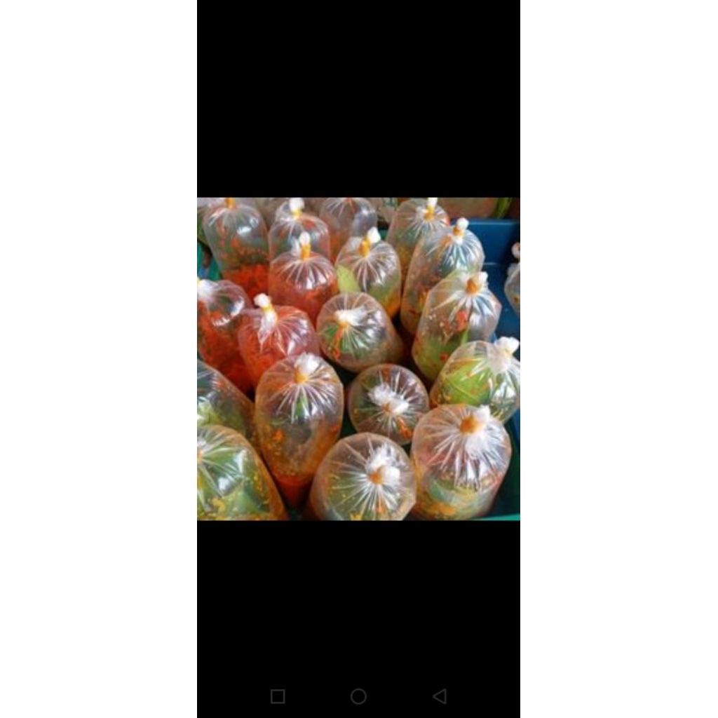 Jual bumbu giling instant siap pakai soto rica-rica gulai opor semur ...