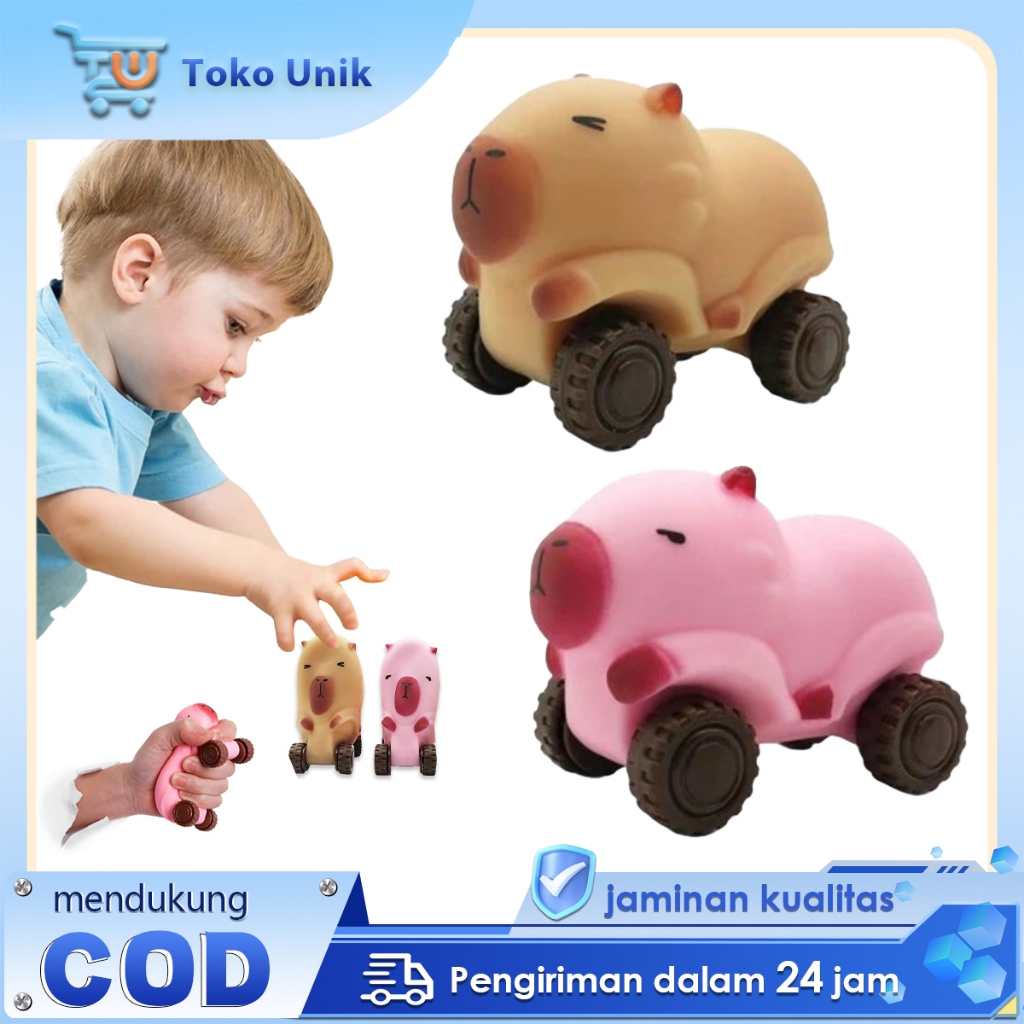 Jual Mainan Kapibara Squishy Mobil Deformasi Capybara Mainan Mobil ...