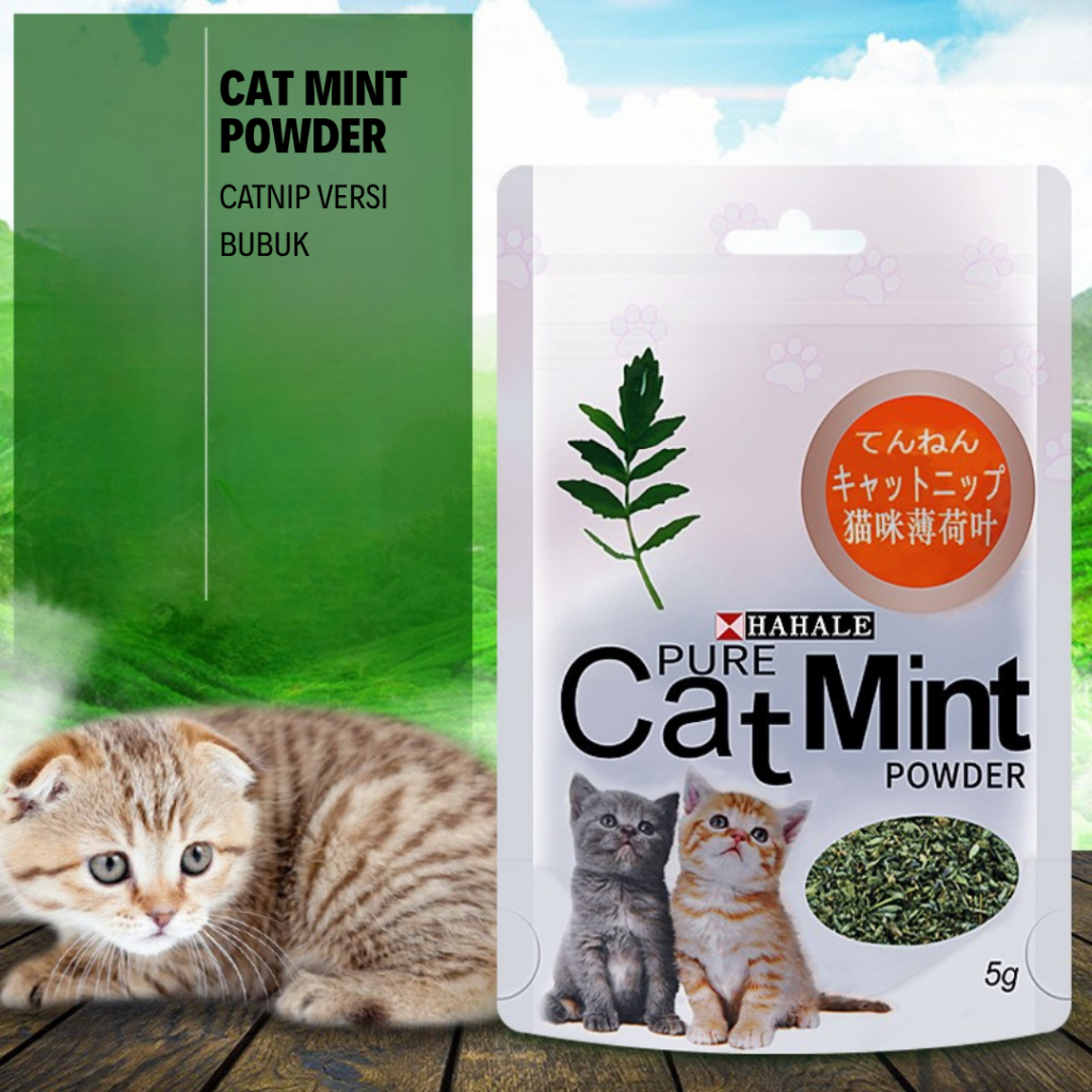 Jual CATMINT CATNIP FOR CATS KUCING HEWAN CATMINT POWDER – Serbuk ...