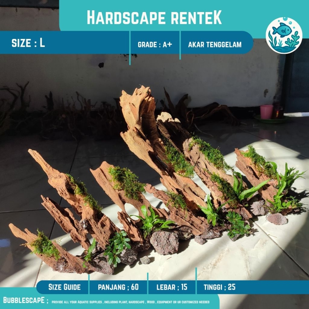 Jual HARDSCAPE AKAR TENGGELAM SIZE L (Besar) RENTEK |Ornamen Hiasan ...
