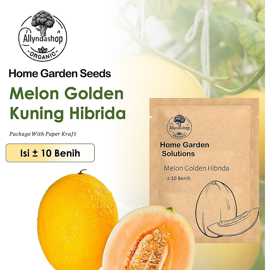 10 Biji - Bibit  Benih Buah Melon Golden Kuning Hibrida Unggul