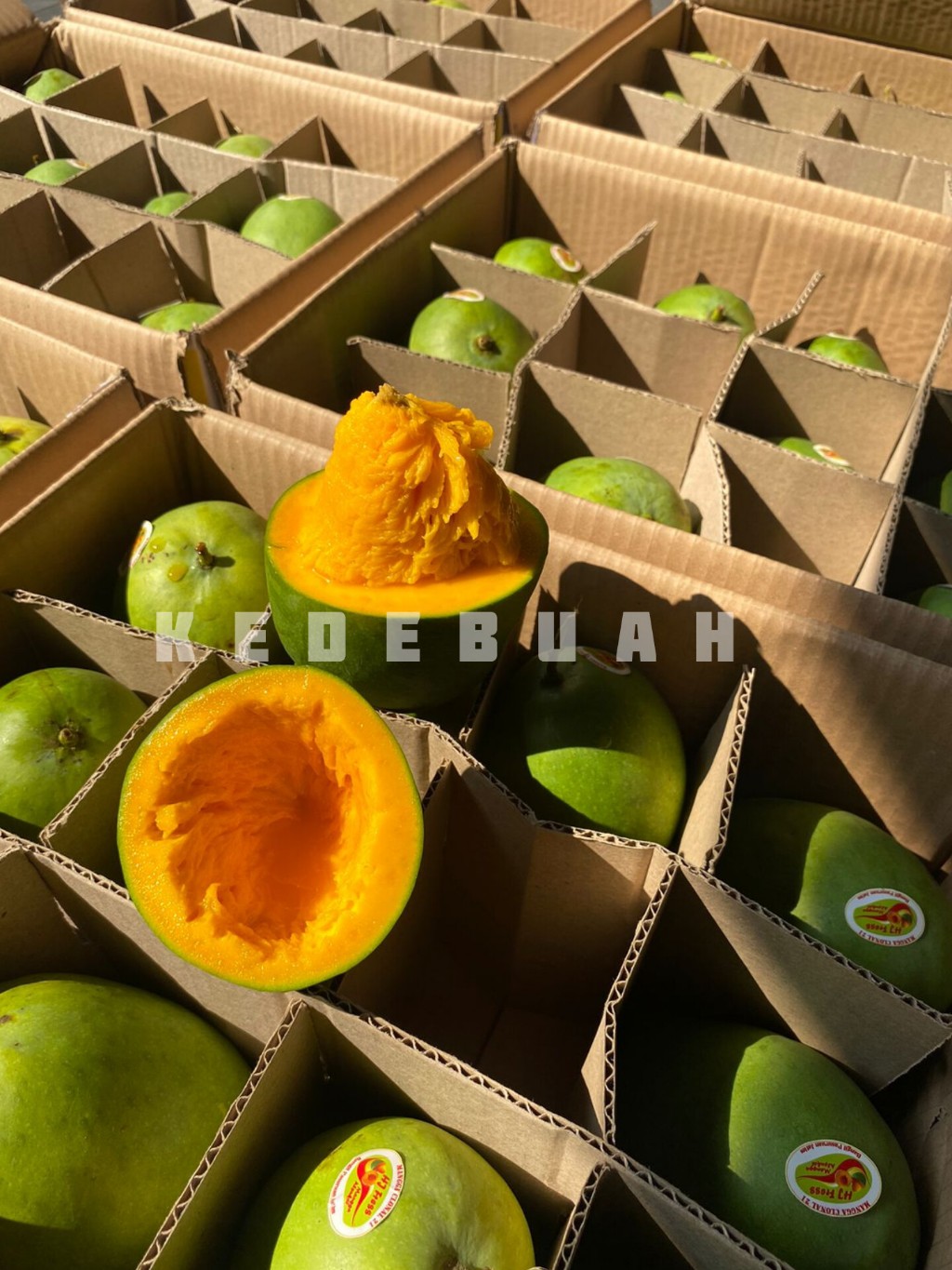 Jual Mangga Alpukat Bangil Super Matang Pohon (1 Dus 5 Kg) | Shopee ...