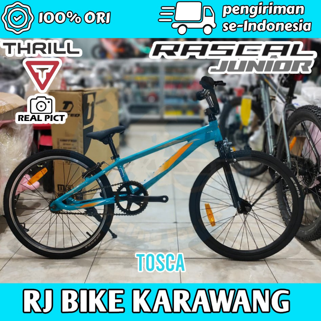 Jual SEPEDA BMX THRILL RASCAL JUNIOR ORIGINAL GARANSI RESMI 20inch ...