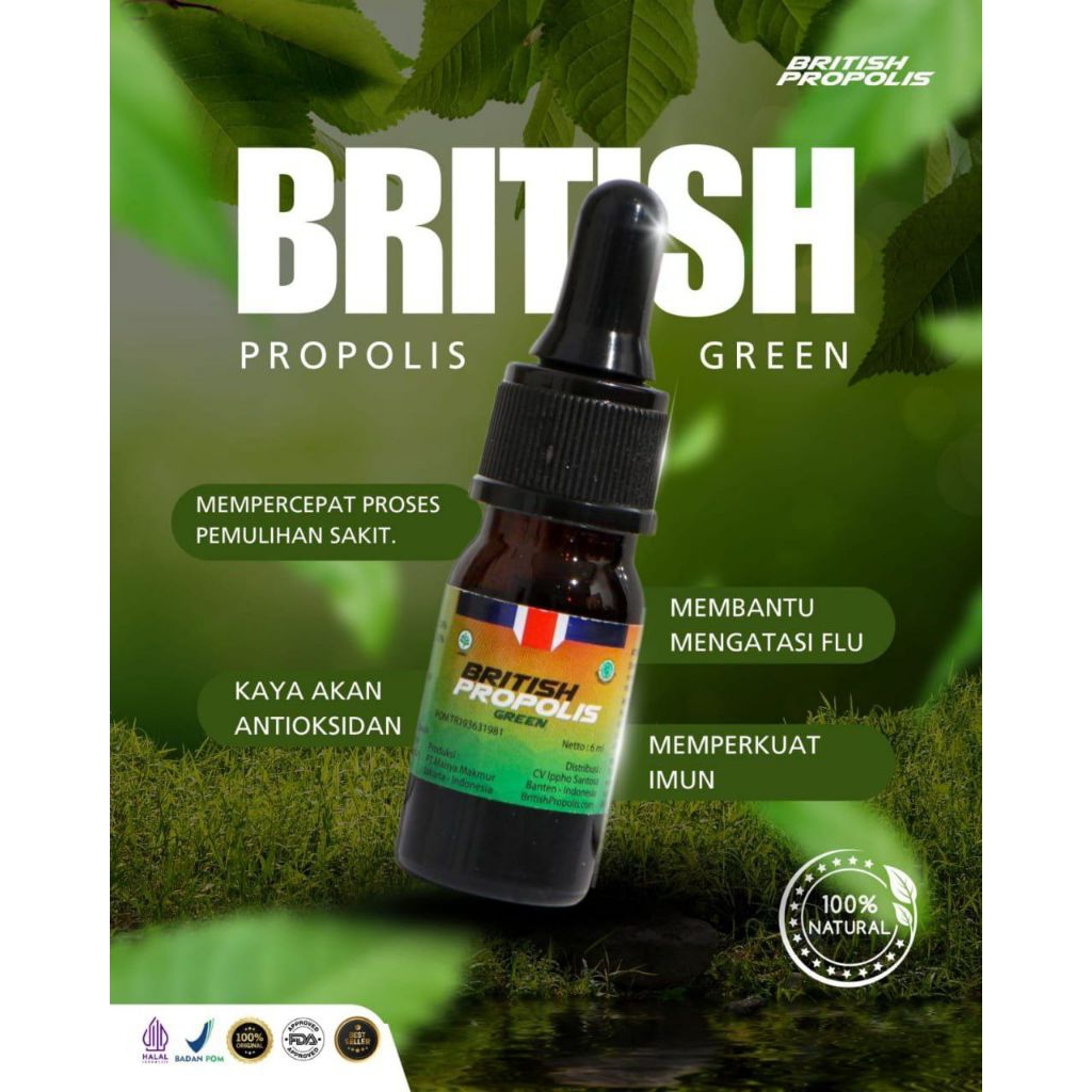 Jual Suplemen Anak British Propolis Green Untuk Otak Cerdas & Daya ...