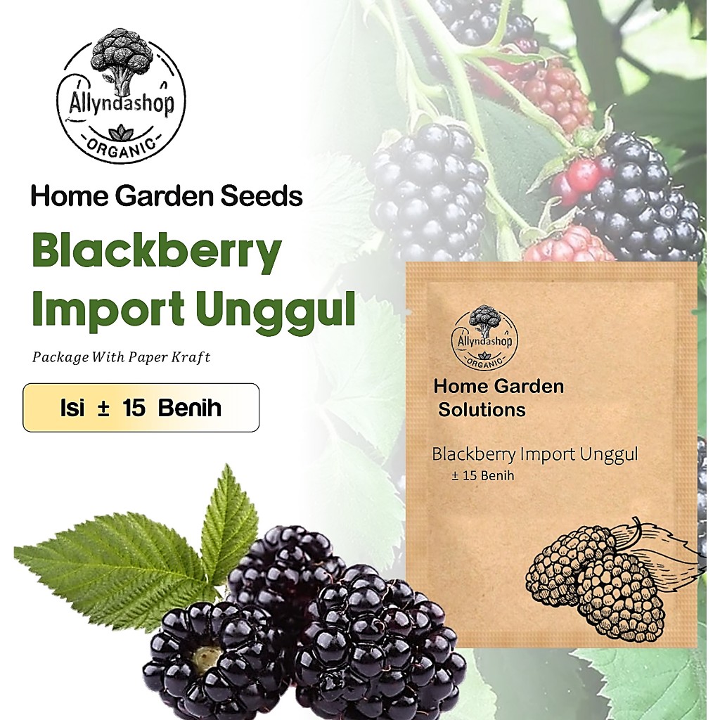 15 Biji - Bibit Benih Buah Blackberry Import Unggul