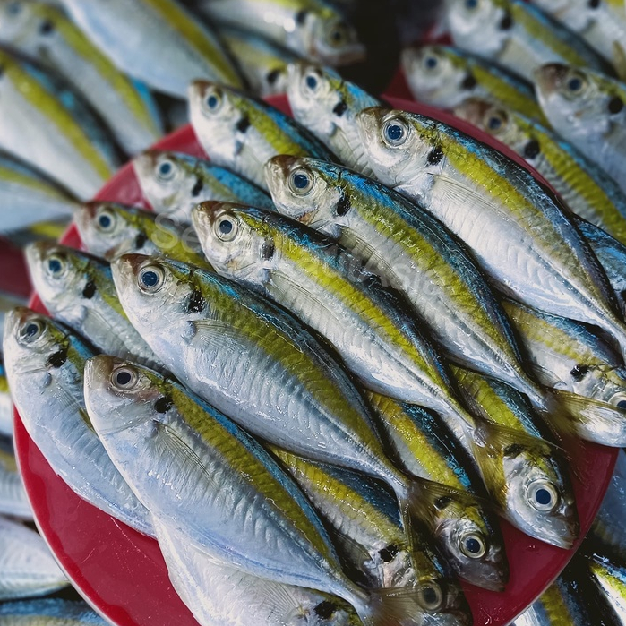 Jual Ikn Selar Kuning Segar 1Kg Ikan Selar Kuning | Shopee Indonesia