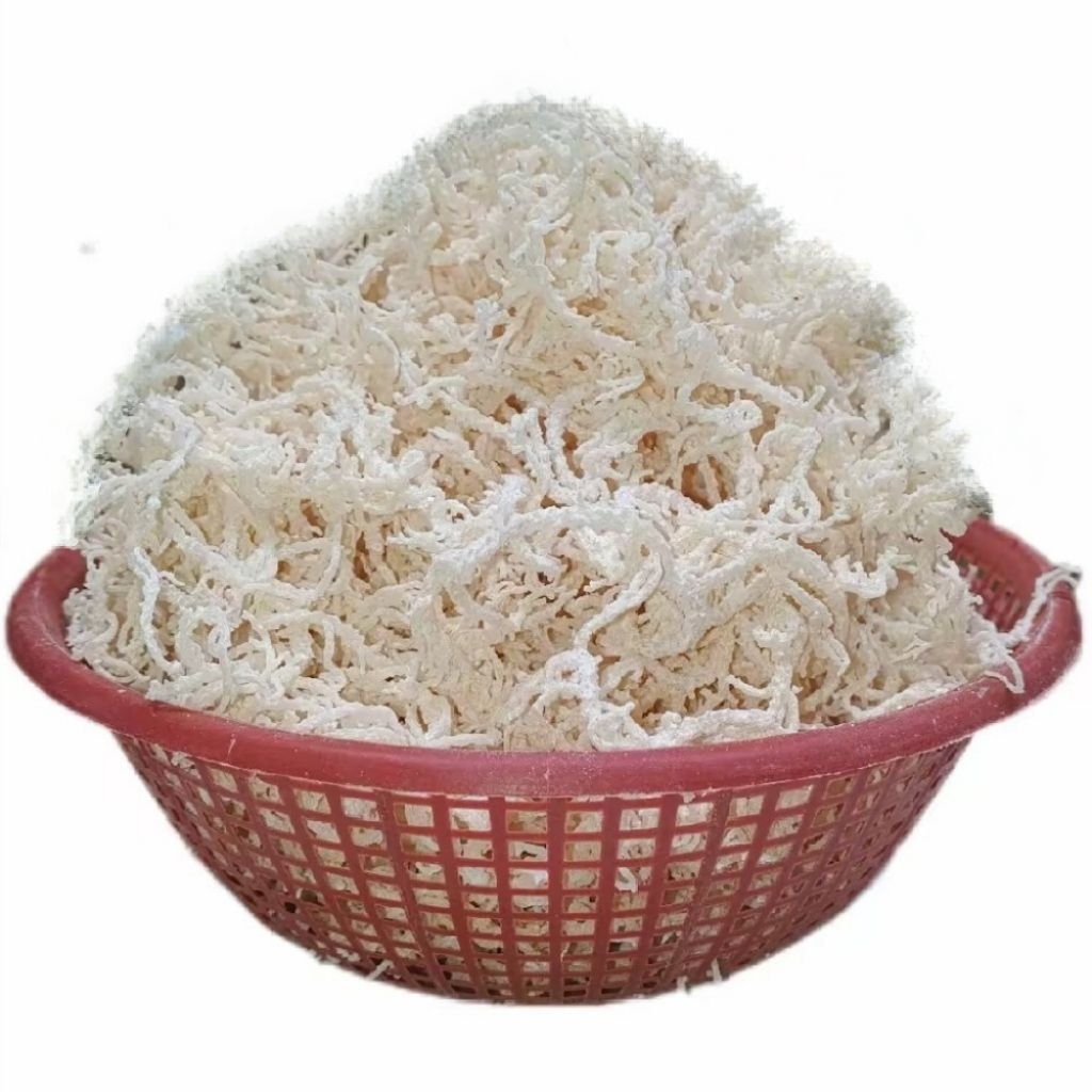 Jual Rumput Laut 1kg Kering Halal Tidak Asin Rasa Tawar Cocok Untuk ...