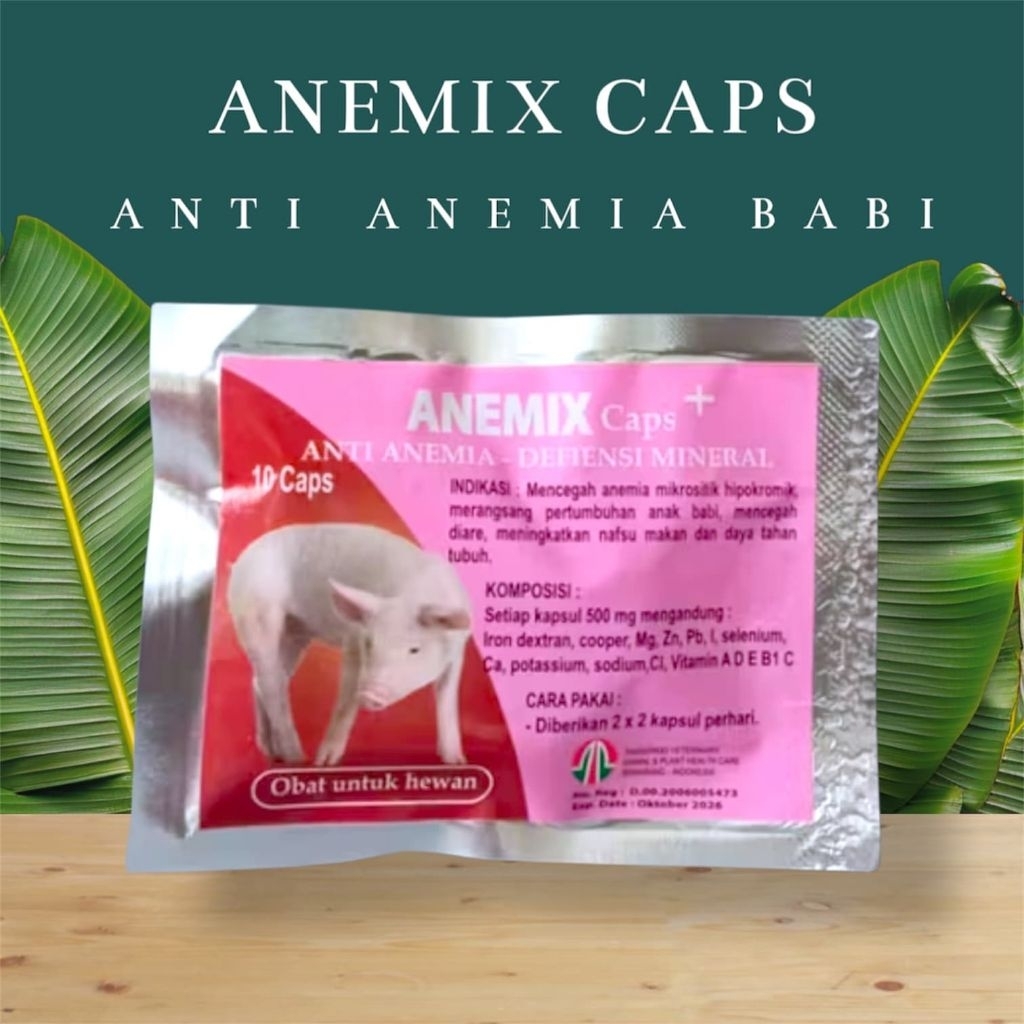 Jual Anemix 10 Kapsul, Obat Vitamin Mencegah Anemia Babi | Shopee Indonesia