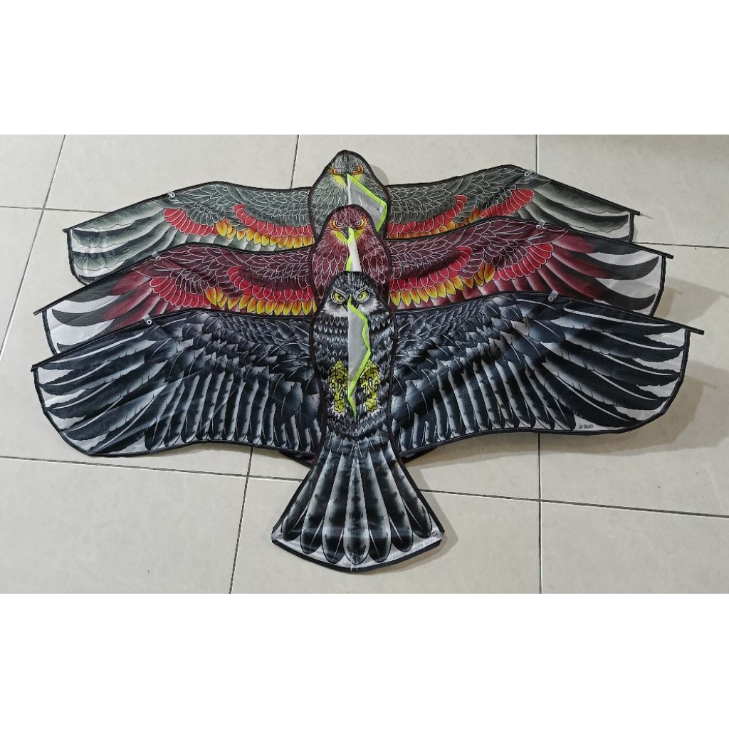 Jual Layangan Motif Elang 1,7 m Parasut Warna Random Bahan Parasut ...