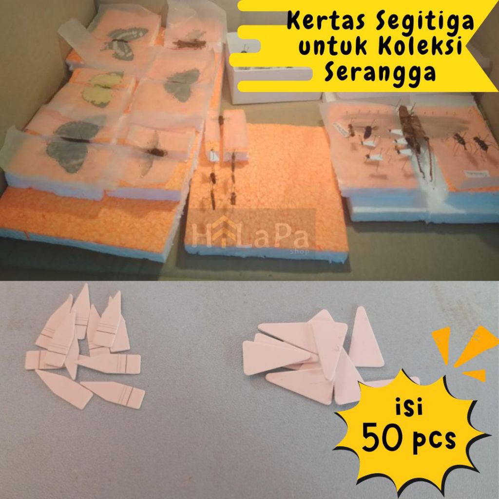 Jual Kertas Segitiga untuk Koleksi Serangga/ Insect Triangle isi 50 pcs ...