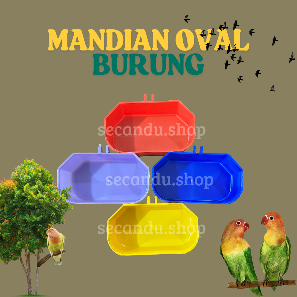 Jual Mandian burung oval burung cepuk mandian mika mandian burung warna ...