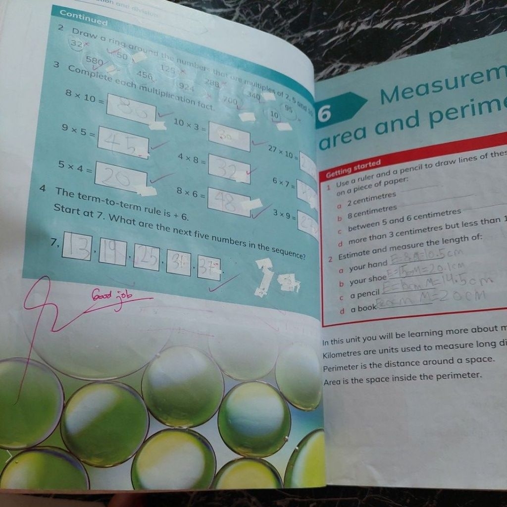 Jual CAMBRIDGE PRIMARY MATHEMATICS LEARNERS BOOK 3 SECOND EDITION ...