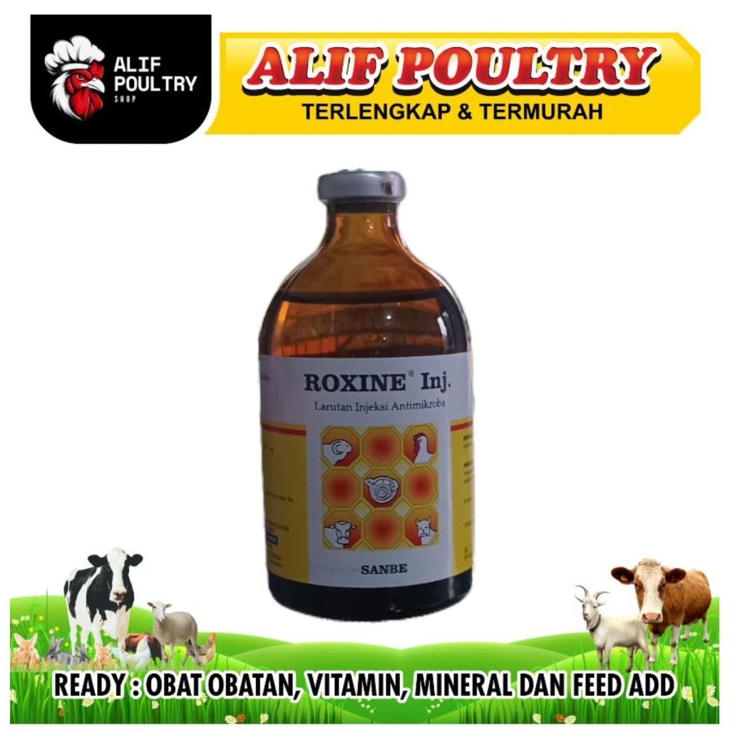 Jual ROXINE INJ 100ML - obat antibiotik | Shopee Indonesia