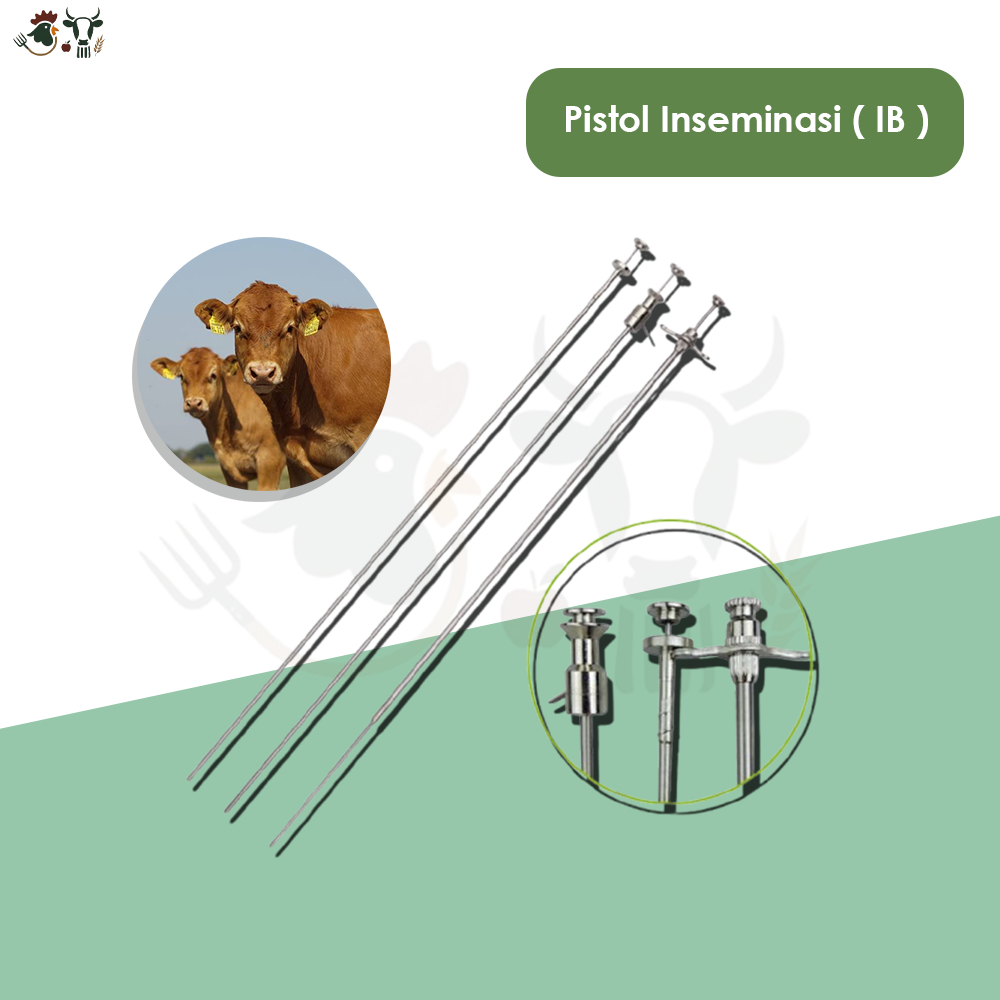 Jual Insemination Gun Cattle – Alat Inseminasi Buatan Sapi & Peralatan ...