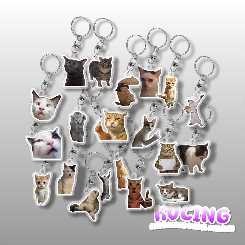 Jual GANTUNGAN KUNCI MEME KUCING AKRILIK KEYCHAIN LUCU MEME CAT AKMAL ...