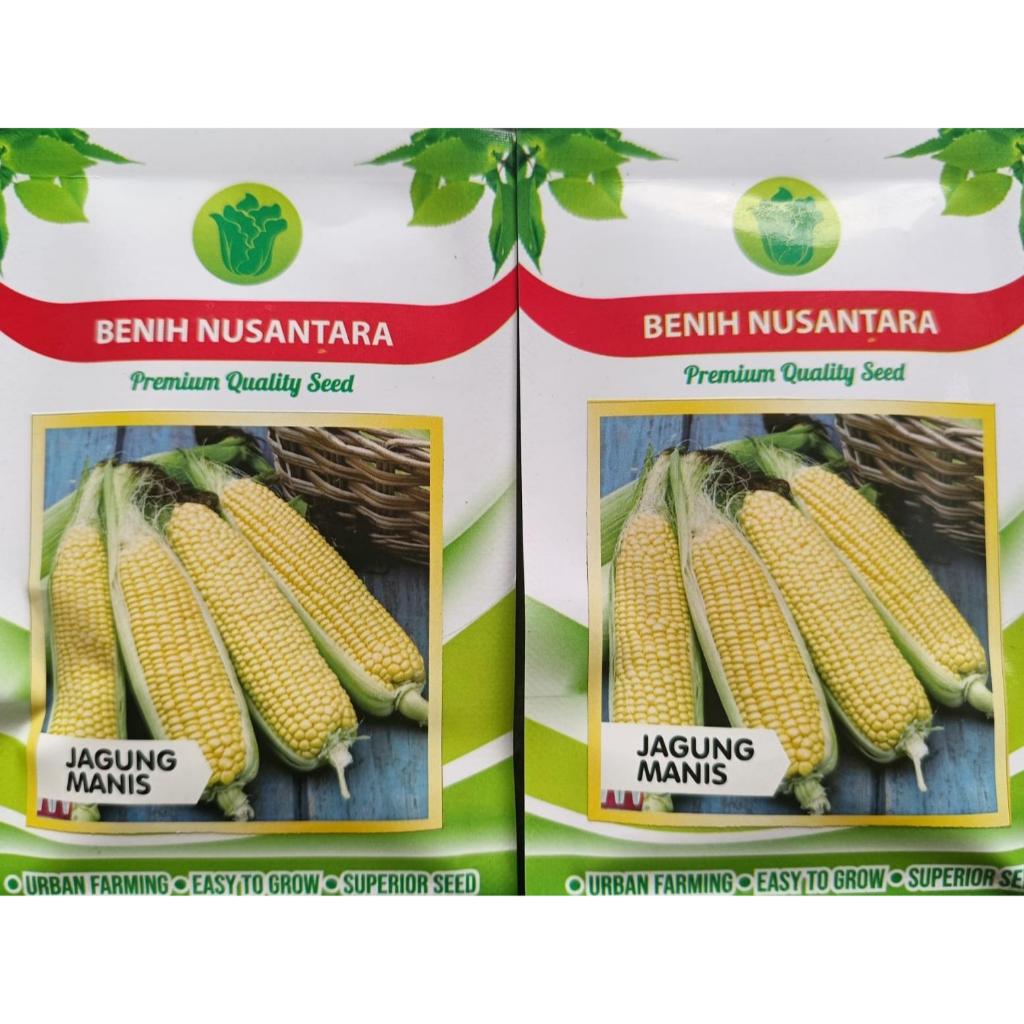 Jual Benih Bibit Jagung Manis - Benih Nusantara | Shopee Indonesia