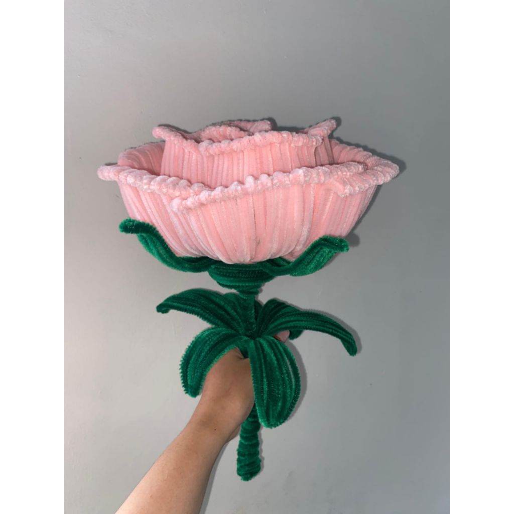 Jual Giant Rose || Single Big Rose || Bunga Mawar Besar || Raksasa ...