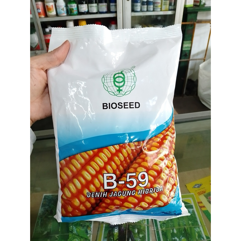Jual Benih Jagung Hibrida Isi : 1 Kg BIOSEED B-59 Kemasan Pabrik ...