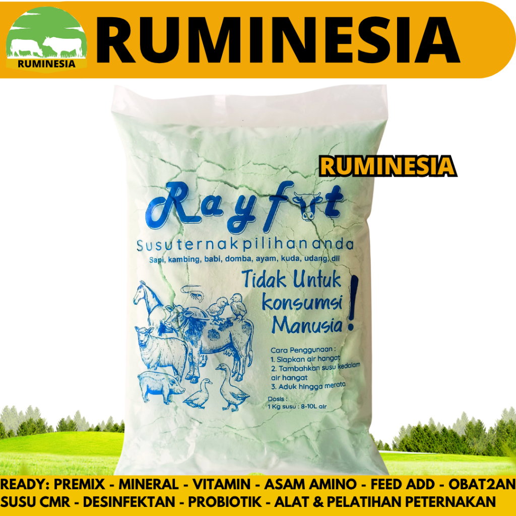 Jual SUSU TERNAK RAYFAT 1 Kg - Susu Premium Ternak Sapi Kerbau Kuda ...