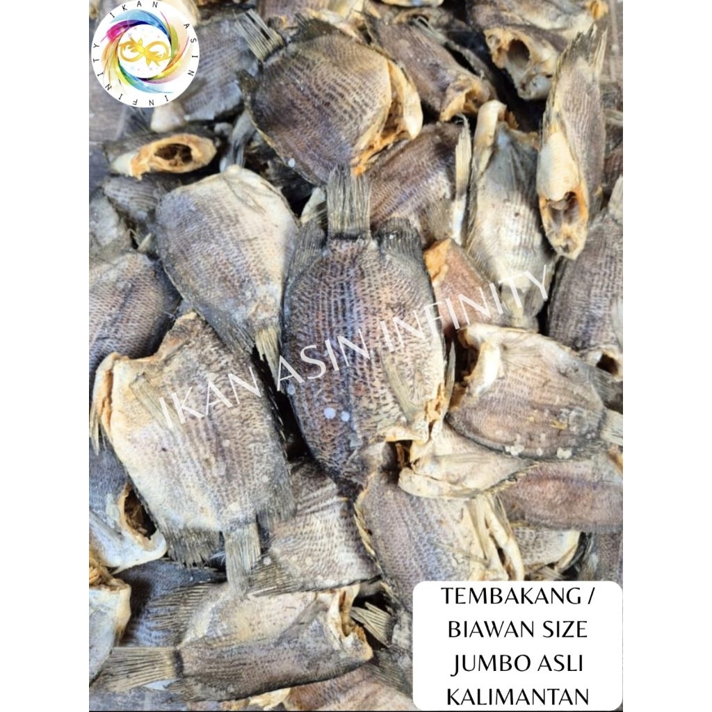 Jual Ikan Asin Tembakang / Biawan Size Jumbo Asli Kalimantan (1000 Gram ...