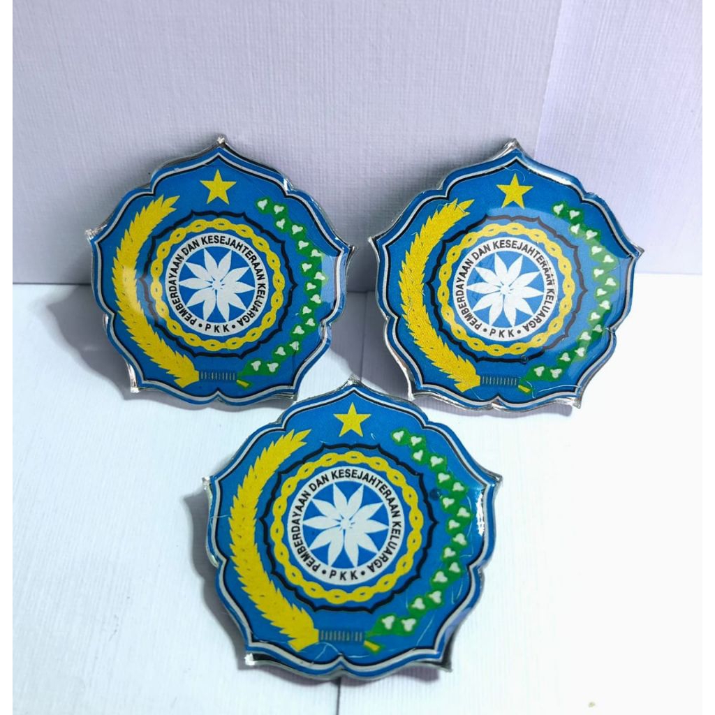 Jual PIN PKK TERBARU PREMIUM LUXURY MODEL PENITI ISI 12PCS | Shopee ...