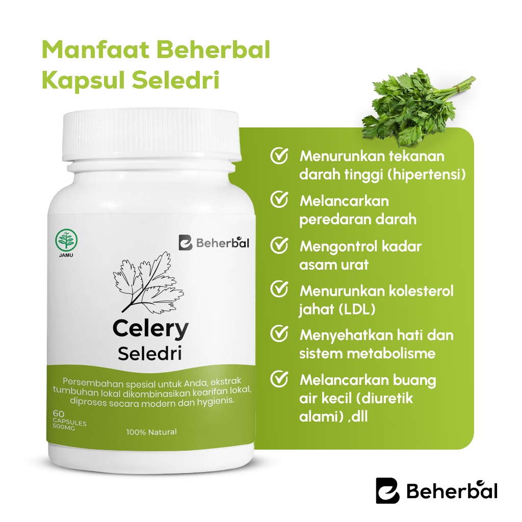 Beherbal Ekstrak Kapsul Seledri / Celery Capsule Obat Darah Tinggi Hipertensi Kolesterol Asam Urat 100% Original