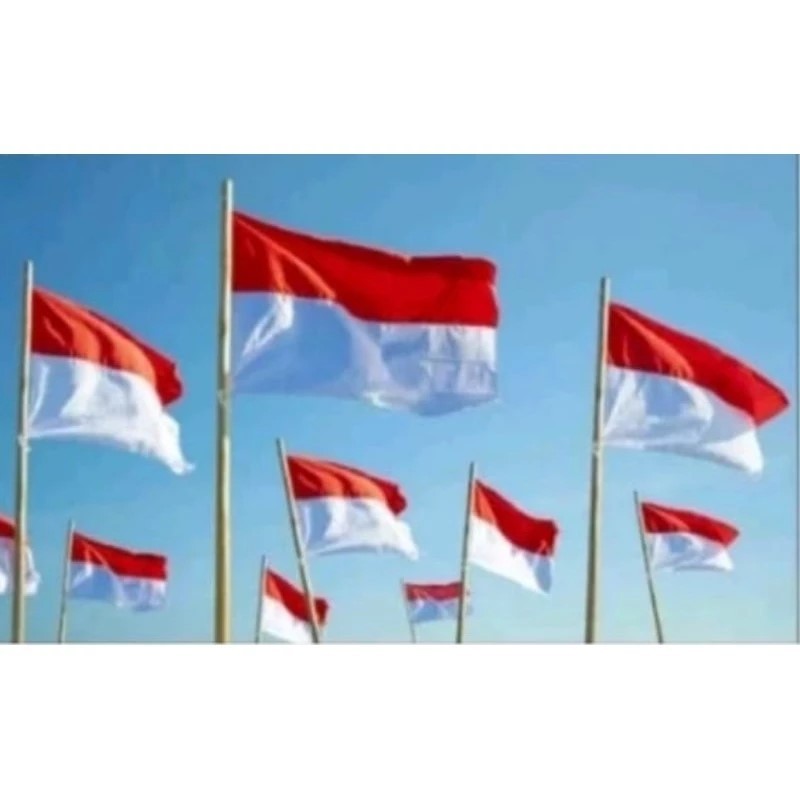 Jual Bendera Merah Putih Bendera Indonesia / Bendera Merah Putih 10 Pcs ...
