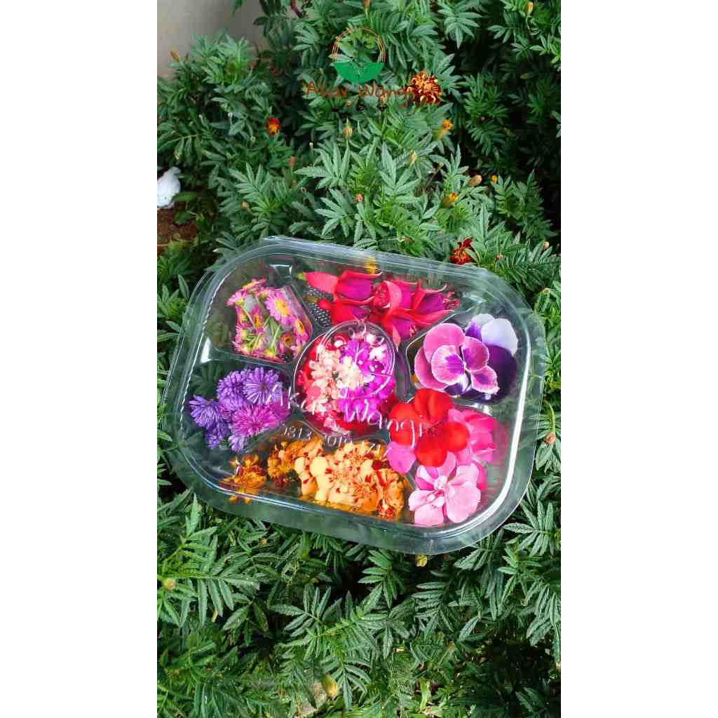 Jual Edible Flower MIX FRESH Akar Wangi | Garnish Makanan | Garnish ...