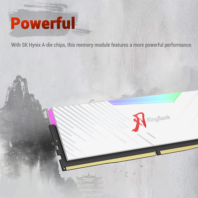 Jual Kingbank Soarblade DDR5 16GB x 2 6000 MT/s XMP RGB White CMXT CL36 ...