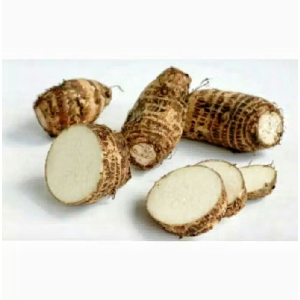 Jual Talas Segar 1kg | Shopee Indonesia