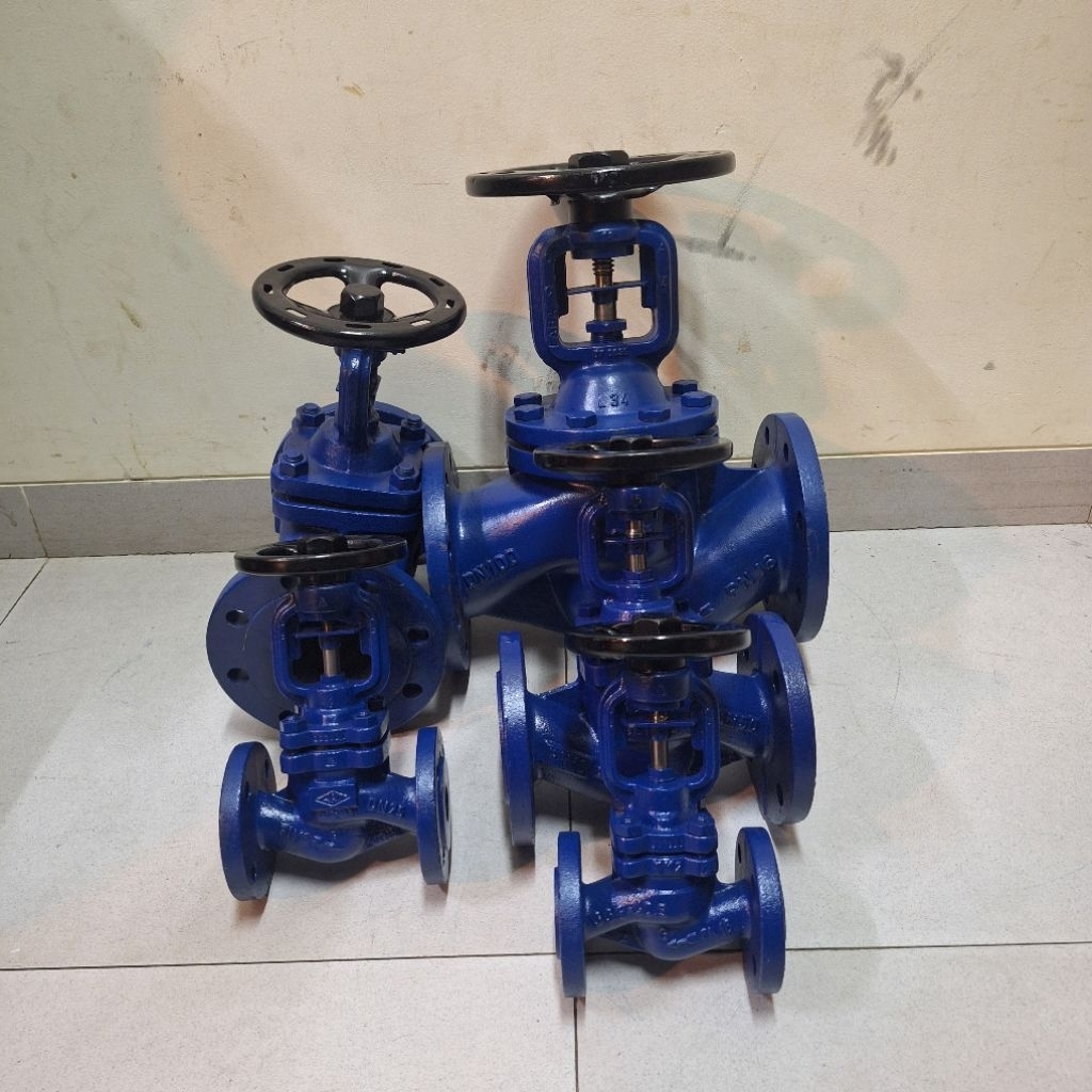 Jual Globe valve 5