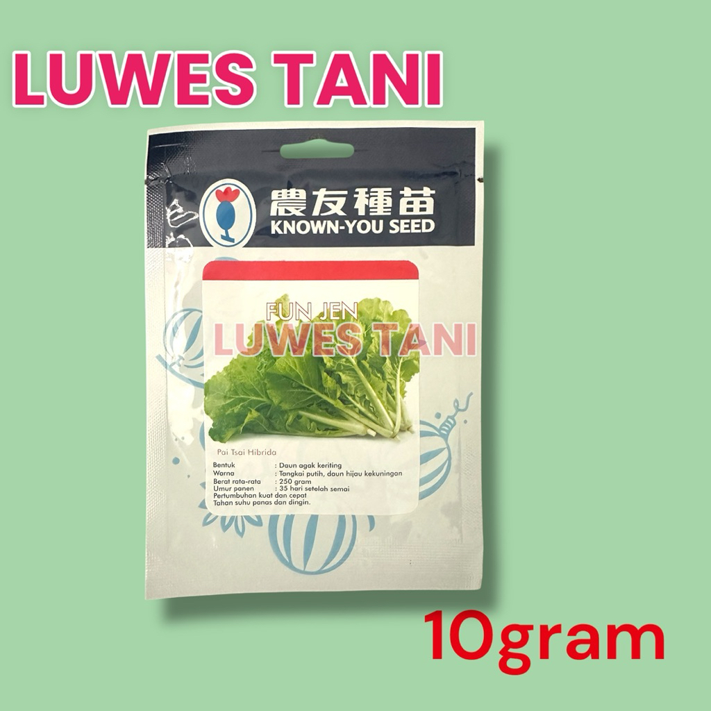 Jual Fun Jen 10gram Benih Bibit Sawi Keriting Hibrida (Known You Seed ...