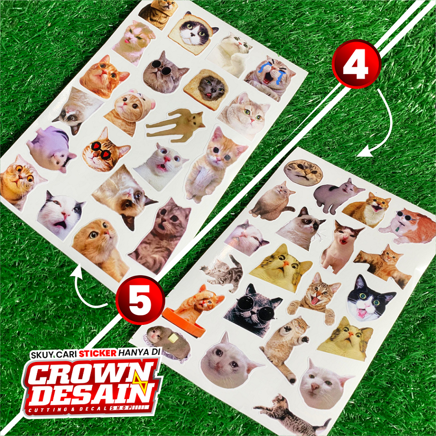Jual (100 PCS)Stiker Ekspresi Kucing Lucu Aesthetic Stiker Cat/Kucing ...