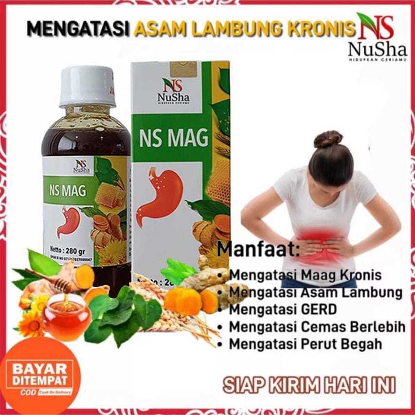 Rumah Herbal Ciganjur - Madu NS MAG ( NUSHA ) Obat Asam Lambung, GERD, Mag atau Maag, Saluran Pencernaan - 280 gr