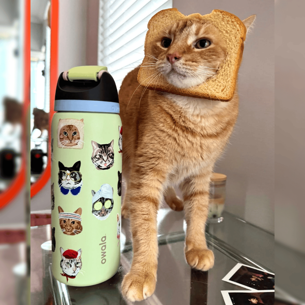 Jual Owala X Urban Outfitters Summer collection freesip 32oz