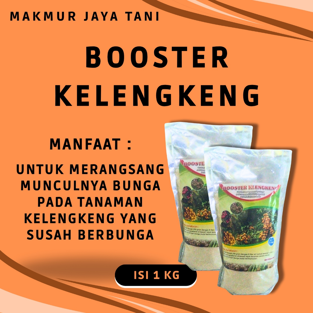 Jual BOOSTER KELENGKENG - KEMASAN 1 KG | Shopee Indonesia