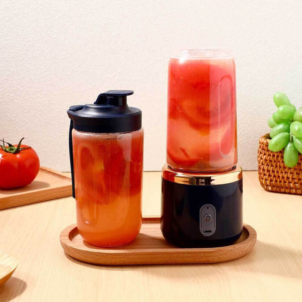 Jual Shake N Take Blender Portable with 2 Bottles STP123 / Blender ...