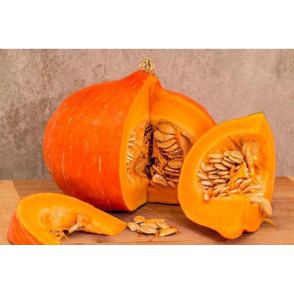 Jual BENIH/BIJI LABU KUNING (20 BUTIR) | Shopee Indonesia