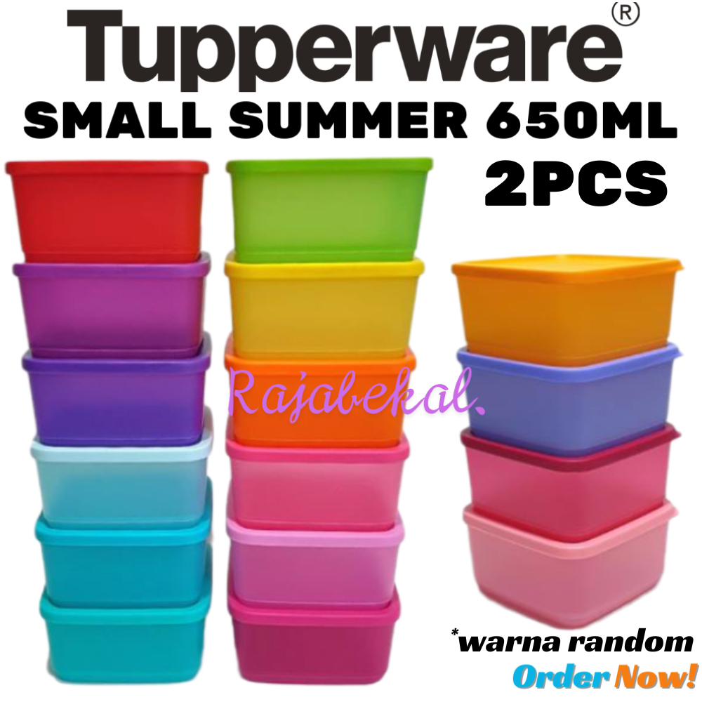 Jual PROMO Tupperware Small Summer Fresh 2pcs - Kotak Makan Serbaguna ...